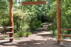 A wooden gate with the Cypress Point Trail sign hanging from it.
