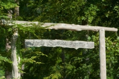 A hanging wooden sign in a lush green forest marking the entrance to the Early Sunrise Farm.
