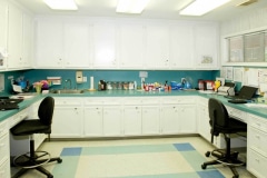 A medical office with white cabinets and a blue and white checkered floor.