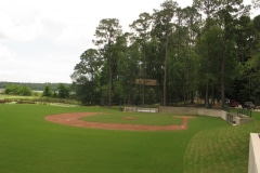 A baseball diamond and trees in the background.